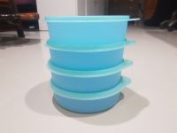 Tupperware ถ้วยแบ่งใหญ่ (4)