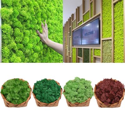 [AYIQ Flower Shop] 40กรัมที่มีคุณภาพสูงประดิษฐ์สีเขียวพืชมอส DIY ผนังพื้นหลังสวนตกแต่งบ้านมินิอุปกรณ์ภูมิทัศน์ไมโคร