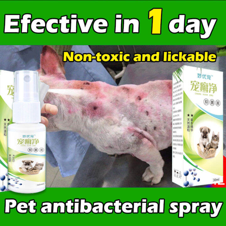 😻Nontoxic, can be licked😻Pet Antibacterial Spray Galis Treatment for