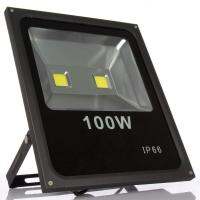 LED SPORT LIGHT 100W