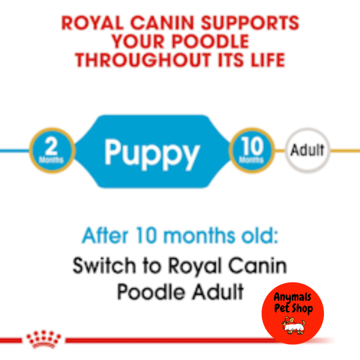 อาหารลูกสุนัข-royal-canin-poodle-puppy-อาหารสุนัข-สูตรลูก-พุดเดิ้ล-ขนาด-500g-1-5-kg