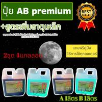 ปุ๋ยไฮโดรโปนิกส์ ปุ๋ยAB ปุ๋ยน้ำ ปุ๋ยผักสลัด สำหรับปลูกผัก Hydroponics ขนาด1000ML New สูตรเข้มข้น