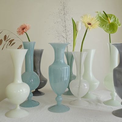 Glass Flower Vase INS Style Bottle Potted Dry Flower Vases Hydroponic Terrarium Arrangement Plant Holder Container Decor