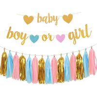 【CC】 Supplies Oh Baby Boy or Ceiling Hanging Backdrop Pink Tassel Shower Decoration