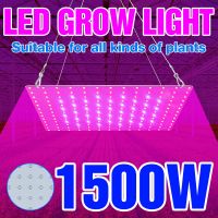 1500วัตต์เต็มสเปกตรัม Led เติบโตโคมไฟควอนตัมคณะกรรมการพืชแสง220โวลต์ Led Phyto หลอดไฟ1000วัตต์สำหรับเรือนกระจกดอกไม้ต้นกล้าเติบโตเต็นท์