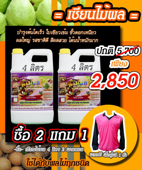 พร้อมส่ง-เซียนไม้ผล-1ลิตร-แถม-ขนาด-1ลิตร-อะมิโนพืช-ชนิดเข้มข้ม-ฮอร์โมนไม้ผล-ปุ๋ยฉีดไม้ผล-ปุ๋ยทางใบ-ฮอร์โมนพืช-อะมิโน-สาหร่าย-ปุ๋ยสูตร