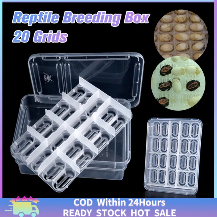 [Fast Delivery] 20 Grids Reptile incubator Breeding Box Reptiles Eggs