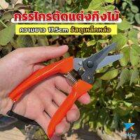 TookDee กรรไกรแต่งกิ่งไม้ เหล็กคาร์บอน สำหรับใช้ในสวน ด้ามกระชับมือ garden shears