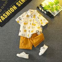 Boys Summer Suit 2023 New Fashion Baby Summer Shirt Short-Sleeved Clothes Childrens Cool Handsome Childrens Clothing