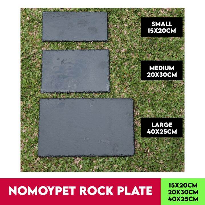 NomoyPet Rock Plate For Tortoise and Reptile Feeding Dish and Basking