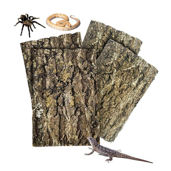 Kork Terrarium Hintergrund 30x30cm - Naturrinde Für Reptilien | Echsen & Gecko Dekoration