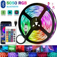 Bluetooth LED Light Strip with 5050 USB SMD 5V RGB Remote Control Supply with Diode LED Neon Room TV Ribbon Flexible Night Light LED Strip Lighting