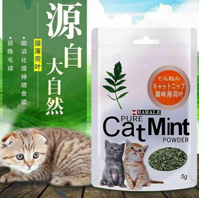 ผงแคทนิป-catnipแมวโรยอาหาร-โรยของเล่นแมวใส่ที่ลัลเล็บแมว-พร้อมส่ง-น้ำหนัก-5-กรัม