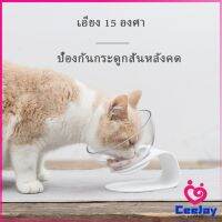 CeeJay ชามอาหารสัตว์เลี้ยง แบบคู่/แบบเดี่ยว อุปกรณ์สัตว์เลี้ยง Pet bowl มีสินค้าพร้อมส่ง