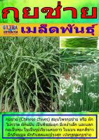 AGPV เมล็ดพันธุ์ กุยช่าย ราคาต่อ1ซอง