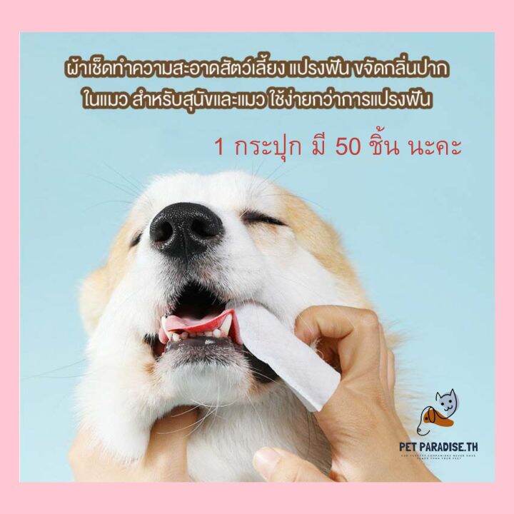 petparadise-th-เซตถุงมือ-ผ้าเช็ดฟัน-ผ้าเช็ดตา-สัตว์เลี้ยงแบบใช้แล้วทิ้ง-ดับกลิ่น-ดูแลผิวสุนัขและแมว-ถุงมือทำความสะอาด