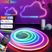 Smart LED Neon Light RGBIC Dream color WS2812B ColorRGB Waterproof Flexible Dimmable Chasing Strip Tape TV Backlight Shape DIY