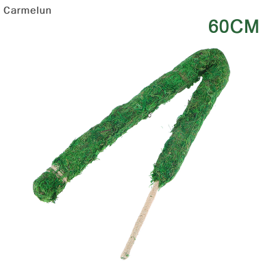 Carmelun ✿ 1ชิ้นเสามอสสำหรับต้นไม้ของขวัญ Monstera งอได้สูงกาบมะพร้าวต้นไม้รองรับพืชปีนเขาเครื่องมือทำสวนสนับสนุน