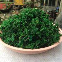 Natural 20/50Gram Bag Dry Green Moss Decorative Plants Vase Artificial Turf Silk Flower Accessories For Flowerpot Decoration