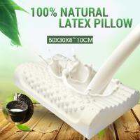 ❤️ Dream Best Natural Standard Latex Pillow comfort for Neck Pain and Fatigue Relief