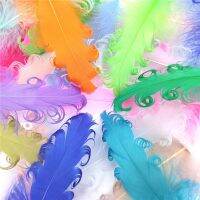 20Pcs Feathers Wedding Decoration 12-18cm Pluma Handicraft Accessories Jewelry Creation Centerpieces