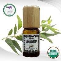 Eucalyptus USDA Organic Essential Oil ユーカリエッセンシャルオイルオーガニック น้ำมันหอมระเหย ยูคาลิปตัส ออร์แกนิค