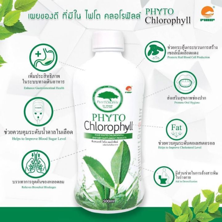 phyto-chlorophyll-ไฟโต-คลอโรฟิลล์-phhp-แท้