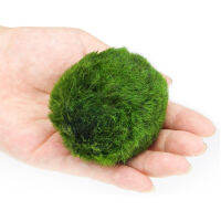 Moss Ball ตกแต่ง Moss ลูกบอลสำหรับตู้ปลาน้ำหญ้า Moss ลูกบอล Live พิพิธภัณฑ์สัตว์น้ำ Plantaqutose เครื่องประดับพืช (4ซม./157in)