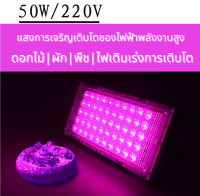 ไฟเลี้ยงต้นไม้LED Grow Ligh ดอกไม้/ผัก|พืช/ไฟเร่งการเติบโต/  /แสงการเจริญเติบโตของไงฟฟ้าพลังงานสู