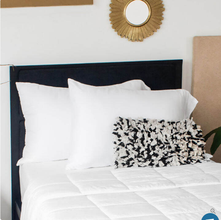 Dreamcare Silky Bamboo Pillowcase Set Lazada PH