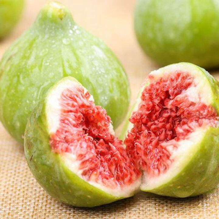 100pcs Fig Seeds Organic Edible Tropical Fruit Mulberry Family Bonsai