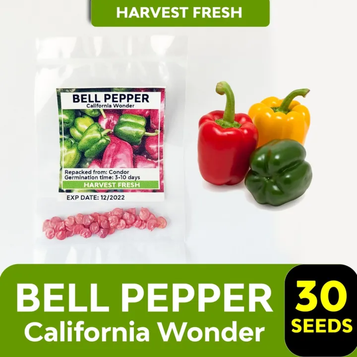 Bell Pepper Seeds California Wonder Sweet Kayen Conical Pepper Sultan