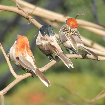 Foam Feather Artificial Birds Vividly Sparrow Garden Emulation Decoration Xmas Tree Robin Home Outdoor Yard Ornaments Randomly