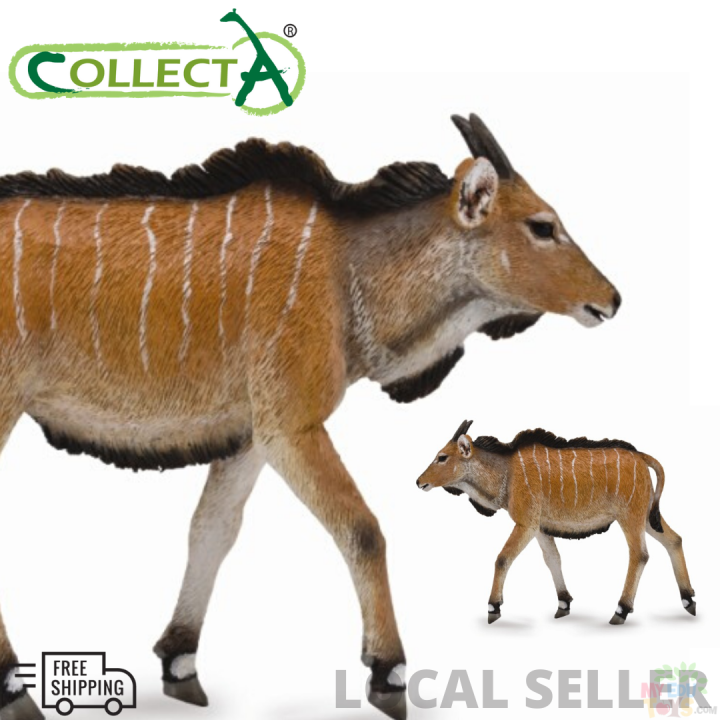 CollectA 88768 Giant Eland Calf Wild Life Animal action figure collection  Toy   Toys figurine original genuine UK brand local seller animal  toy vinyl safe product for adults collectible boys girls