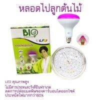 หลอดไฟปลูกต้นไม้ ลดการปล่อยมลพิษของคาร์บอนไดออกไซด์