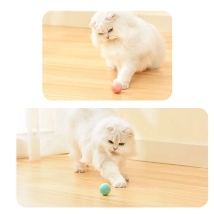 ของเล่นแมว-ลูกบอลกลิ้งได้-rolling-ball-ของเล่นเหมียว-บอลกลิ้งๆ-บอลโต้ตอบอัตโนมัติ-บอลอัจฉริยะ-ของเล่นฝึกแมว-ลูกบอลอัจฉริยะ