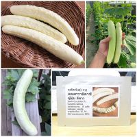 เมล็ดพันธุ์ แตงกวา อิตาชิ ญี่ปุ่น Itachi Cucumber F1 Seed 10 เมล็ด คุณภาพดี ราคาถูก ของแท้