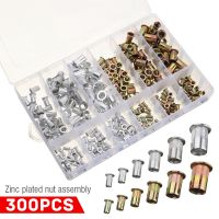 300pcs M3 M4 M6 M8 M10 Zinc Plated Flat Head Rivet Nuts Carbon Steel Rivet Nutserts Threaded Insert Rivet Nuts Insert Riveting