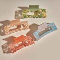 Signature - Pastel two-tone acetate square claw clip