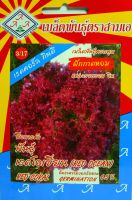 ผักกาดหอมแดง เรดคอรัล  Red Coral Lettuce เมล็ดพันธุ์ตราสามเอ