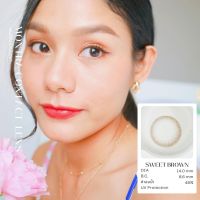 คอนแทคเลนส์ Sweet Brown (Montra) ขนาดมินิ ? สีและลายคล้าย Mini Soft Brown