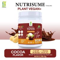 Nutrisume Plant Vegan Cocoa โปรตีนจากพืช นิวทริซัม แพลนท์ วีแกน รสโกโก้