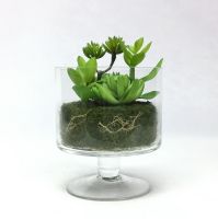 ต้นไม้ปลอมมินิมอล สวนขวดแก้ว สวนโหลแก้ว Artificial terrarium