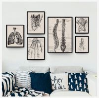 【hot】❖❏™  Canvas Painting Posters And Prints Wall Pictures Room Anatomy skeleton Patent Poster Print