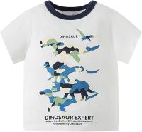 Toddler Kids Baby Boys Summer Cartoon Camouflage Dinosaur Short Sleeve Crewneck T Shirts Tops Tee Blue and White Optional Boys Tops Size 8 (White, 4-5 Years)