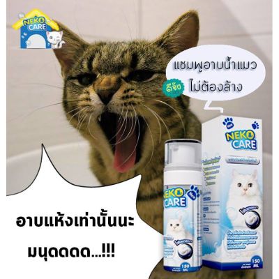 แชมพูโฟมอาบแห้งน้องแมว ฟองโฟมอาบน้ำ แชมพูอาบน้ำแมว ชมพูอาบน้ำแมว ดับกลิ่น