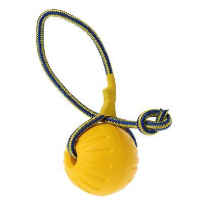 Dog Training Ball Toy Pet Interactive Toy Ball Dog Chew &amp; Fetch Ball With Rope Fun Puppy Toy Ball For Small To Large Dog