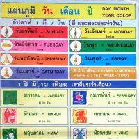 โปสเตอร์แสดงภาพ แผนภูมิ วัน เดือน ปี DAY MONTH YEAR ขนาดความกว้าง22นิ้ว ความสูง32นิ้ว