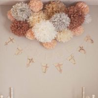 hotx【DT】 10pcs 10  / 25cm Tissue Paper Poms Balls Wedding pompoms Decoration