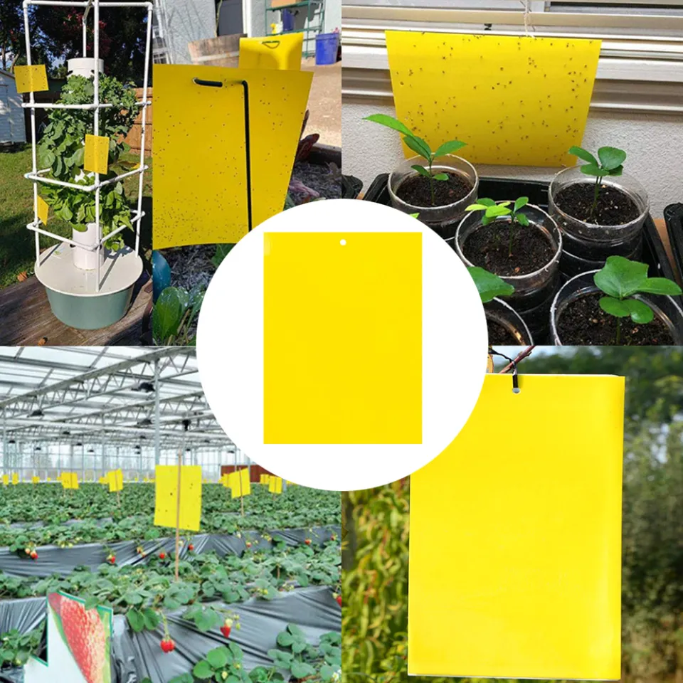 10pcs Yellow Double-sided Greenhouse Sticky Traps Bugs Sticky Board  Multiple Flying Insect Catching Control Sticker